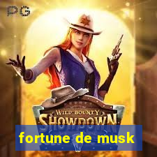 fortune de musk