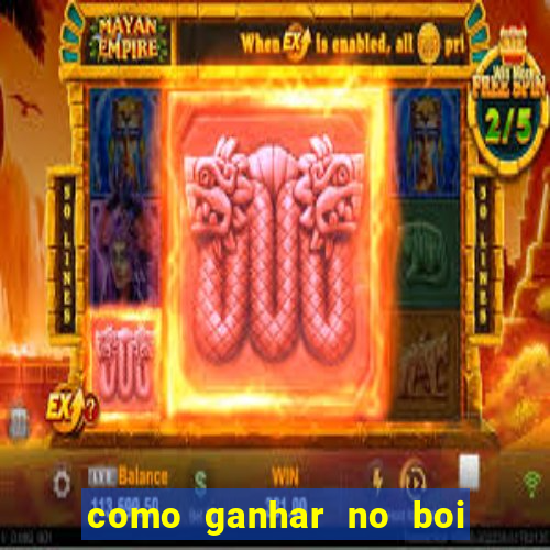 como ganhar no boi da fortuna