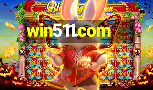 win511.com