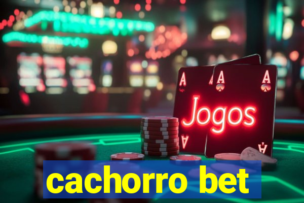 cachorro bet