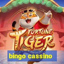 bingo cassino