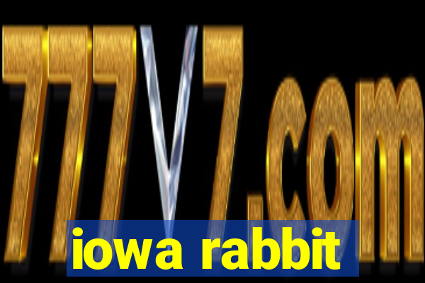 iowa rabbit