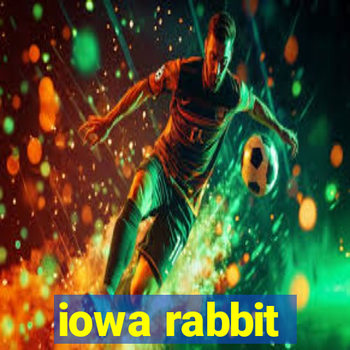 iowa rabbit