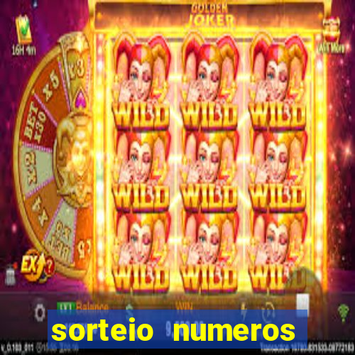 sorteio numeros bingo online