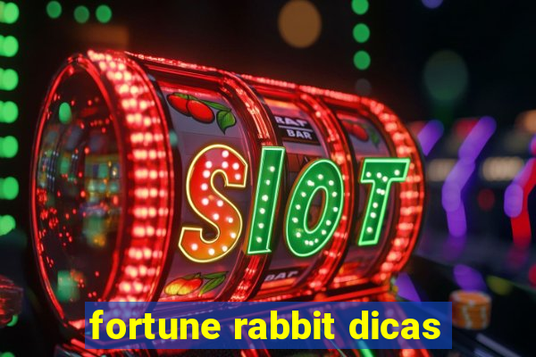 fortune rabbit dicas