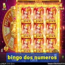 bingo dos numeros