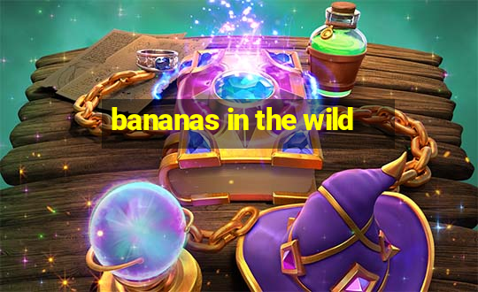 bananas in the wild