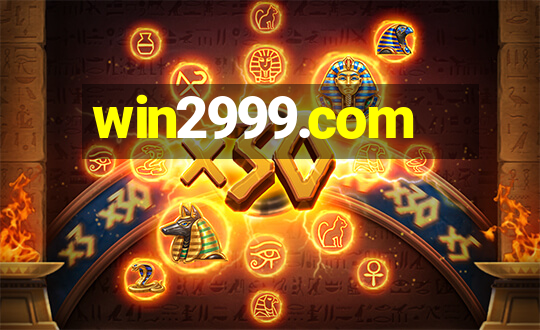 win2999.com