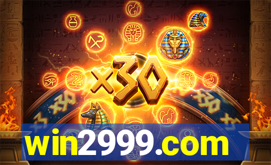 win2999.com