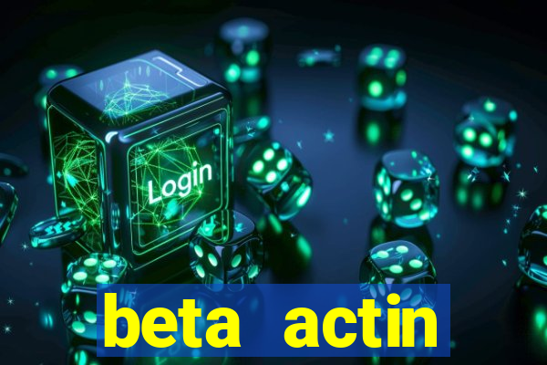 beta actin molecular weight