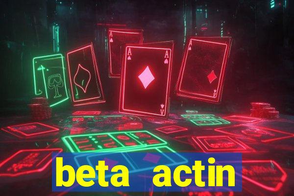 beta actin molecular weight