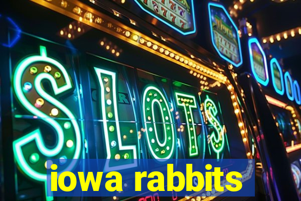 iowa rabbits