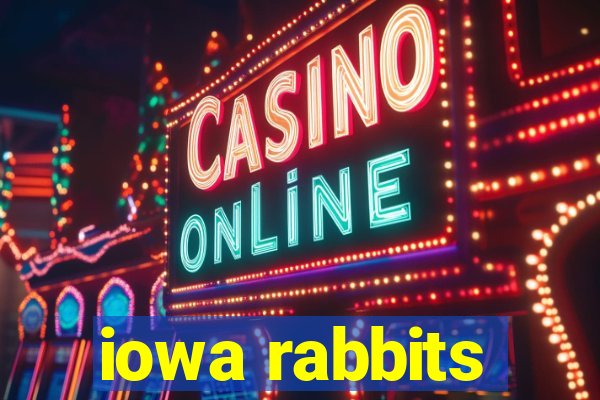 iowa rabbits