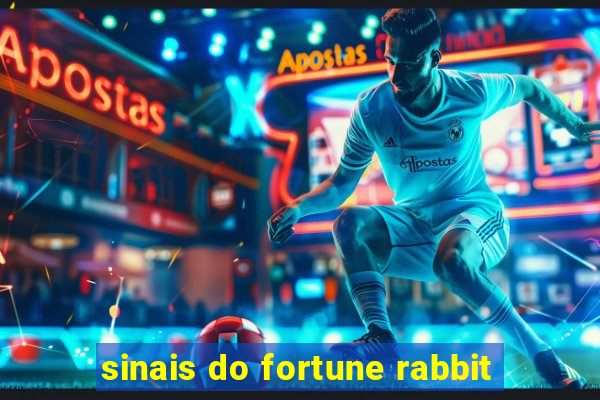 sinais do fortune rabbit