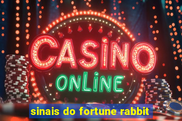 sinais do fortune rabbit