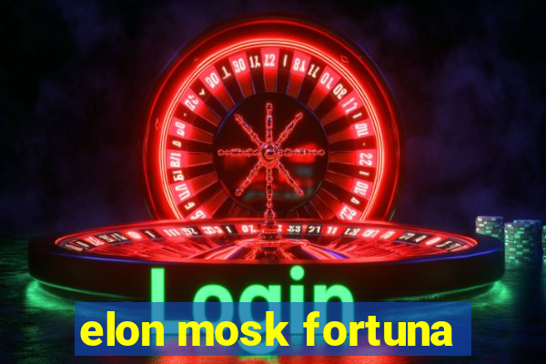 elon mosk fortuna