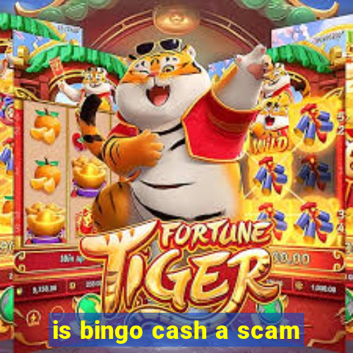 is bingo cash a scam