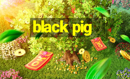 black pig