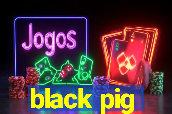 black pig