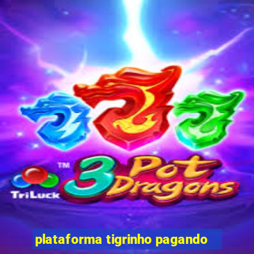 plataforma tigrinho pagando