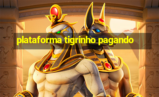 plataforma tigrinho pagando