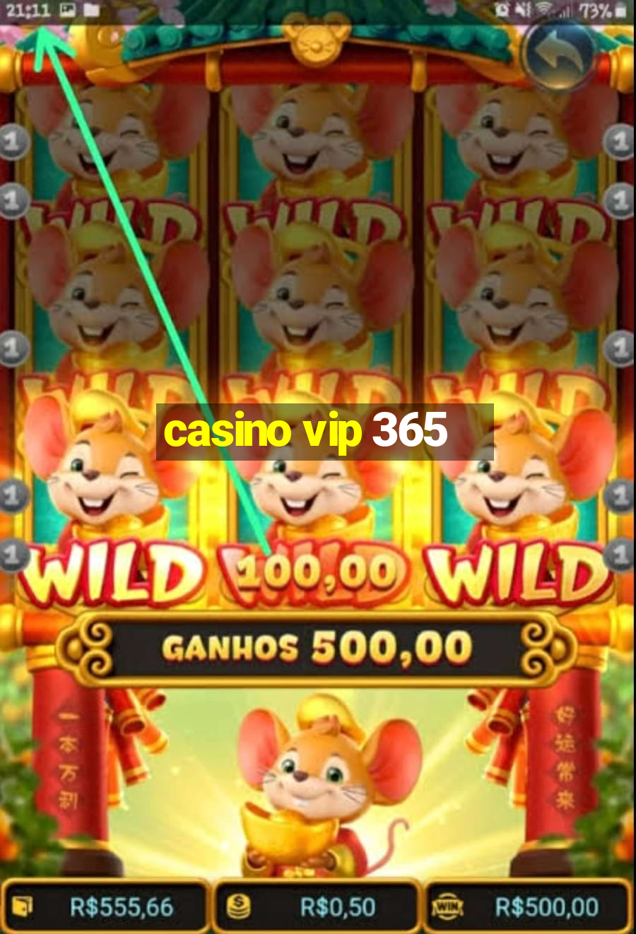 casino vip 365