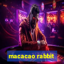 macacao rabbit