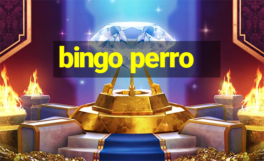 bingo perro