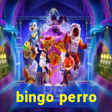 bingo perro