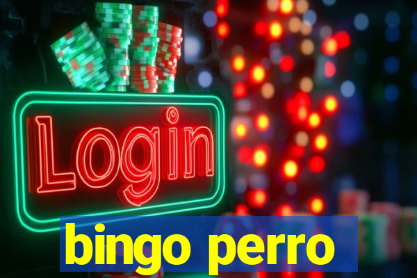 bingo perro