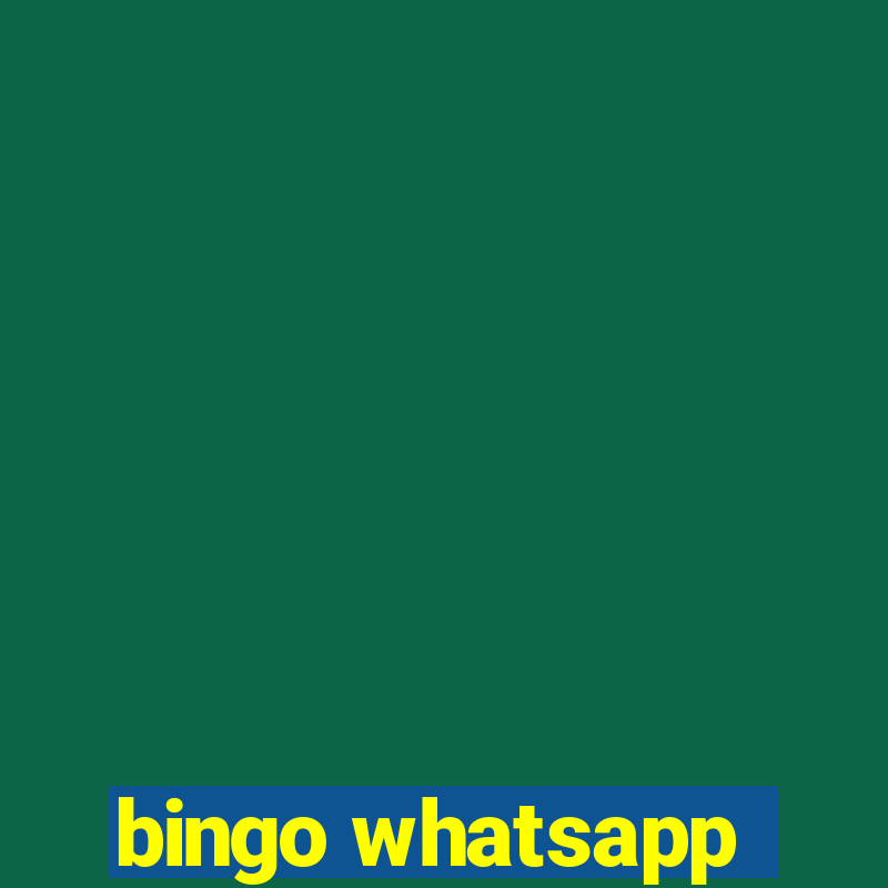 bingo whatsapp