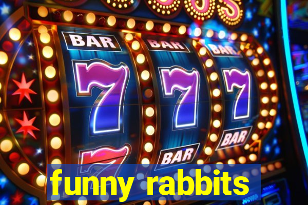 funny rabbits