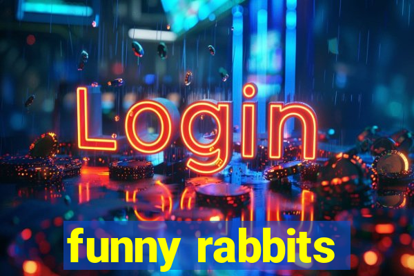 funny rabbits