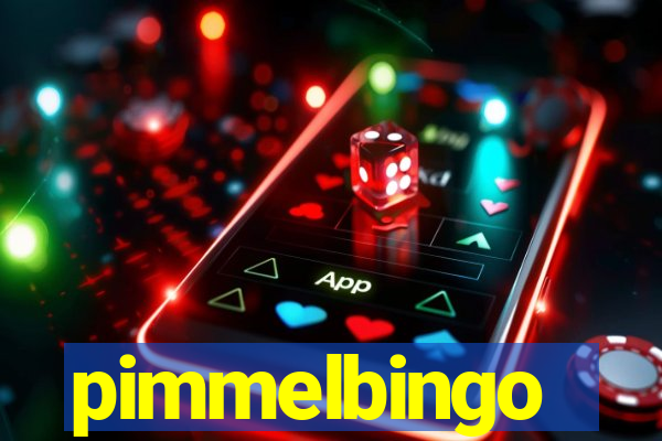 pimmelbingo