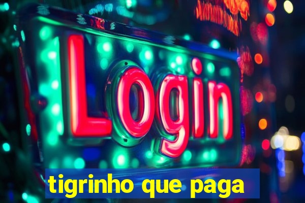 tigrinho que paga