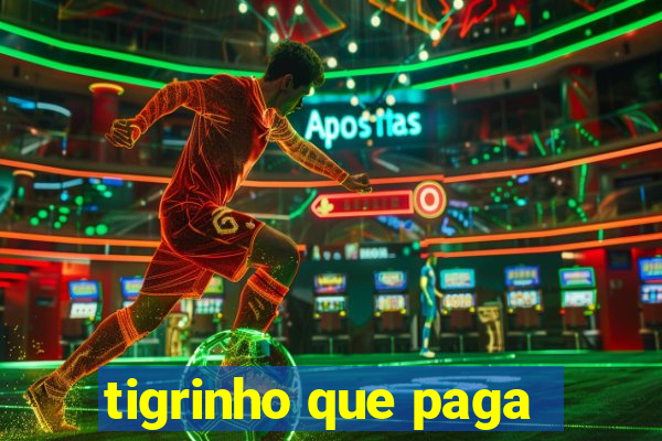 tigrinho que paga