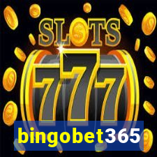 bingobet365