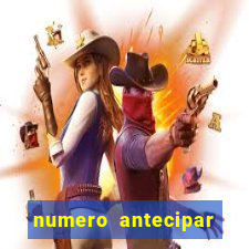 numero antecipar credito vivo