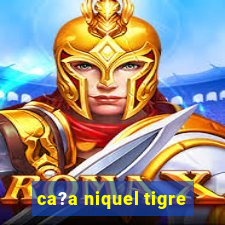 ca?a niquel tigre