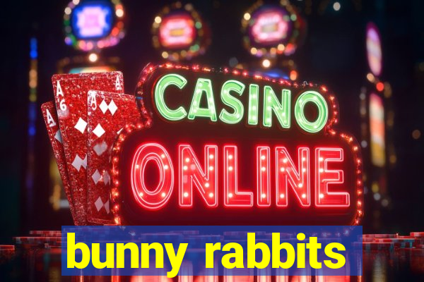 bunny rabbits