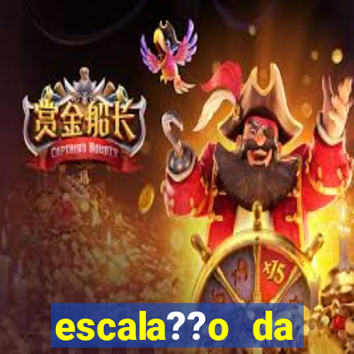 escala??o da bélgica hoje