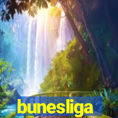 bunesliga