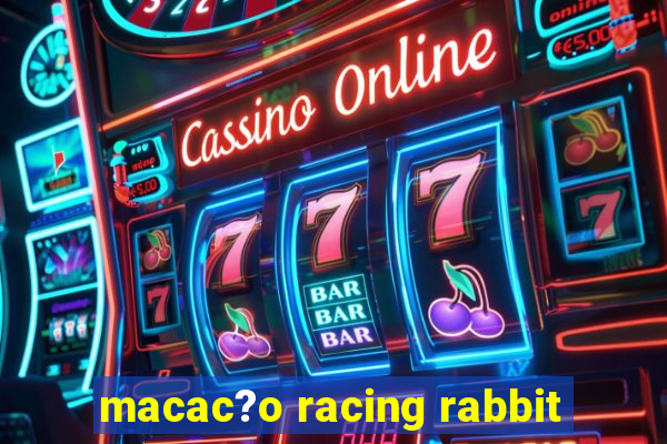 macac?o racing rabbit