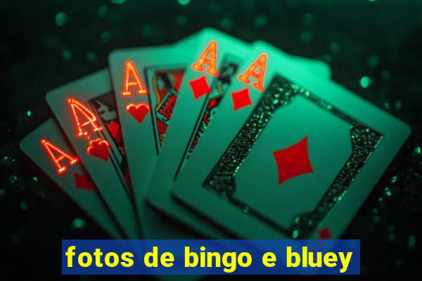 fotos de bingo e bluey