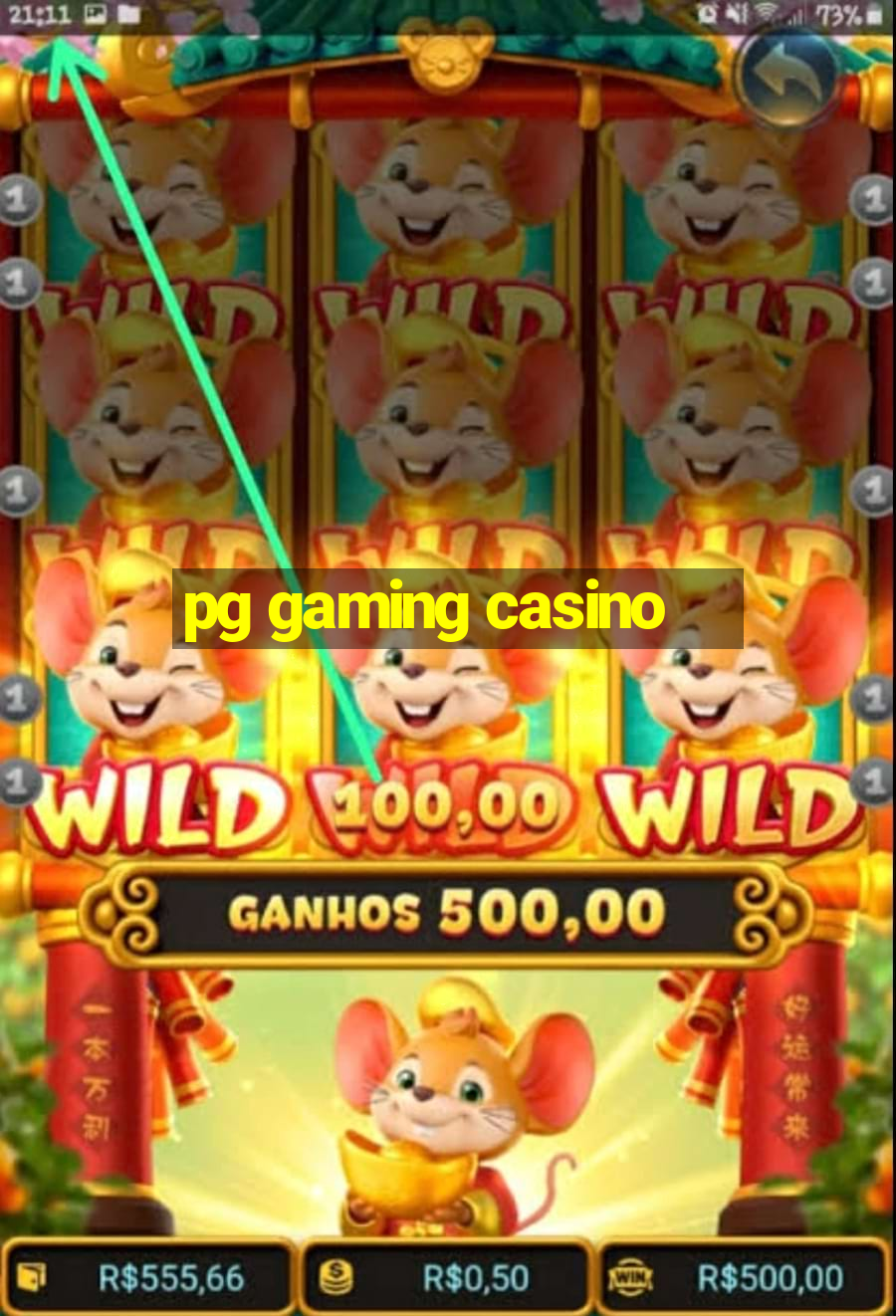 pg gaming casino