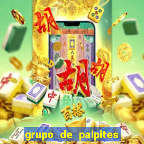 grupo de palpites de futebol whatsapp