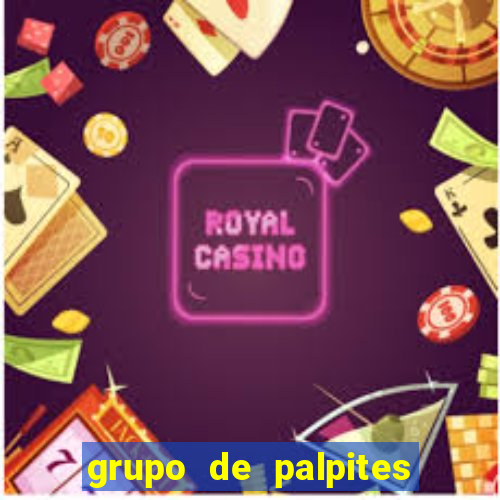 grupo de palpites de futebol whatsapp