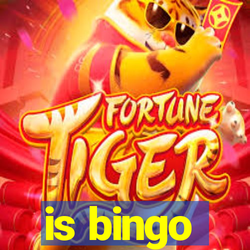 is bingo