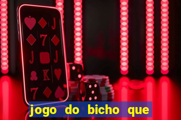 jogo do bicho que paga no pix