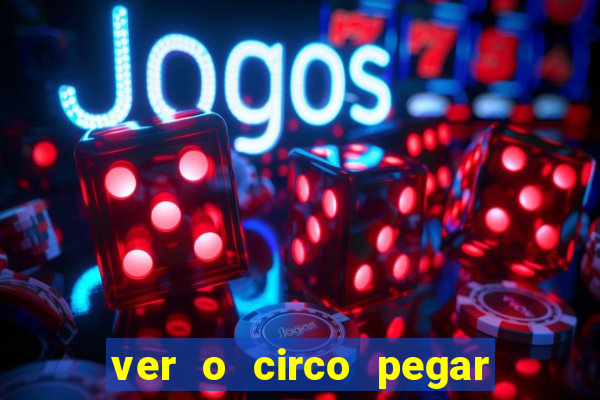 ver o circo pegar fogo significado